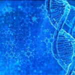 Data Analytics for Making ready in anu Business works.