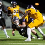 Puts Germany’s Government at Risk of Collapse